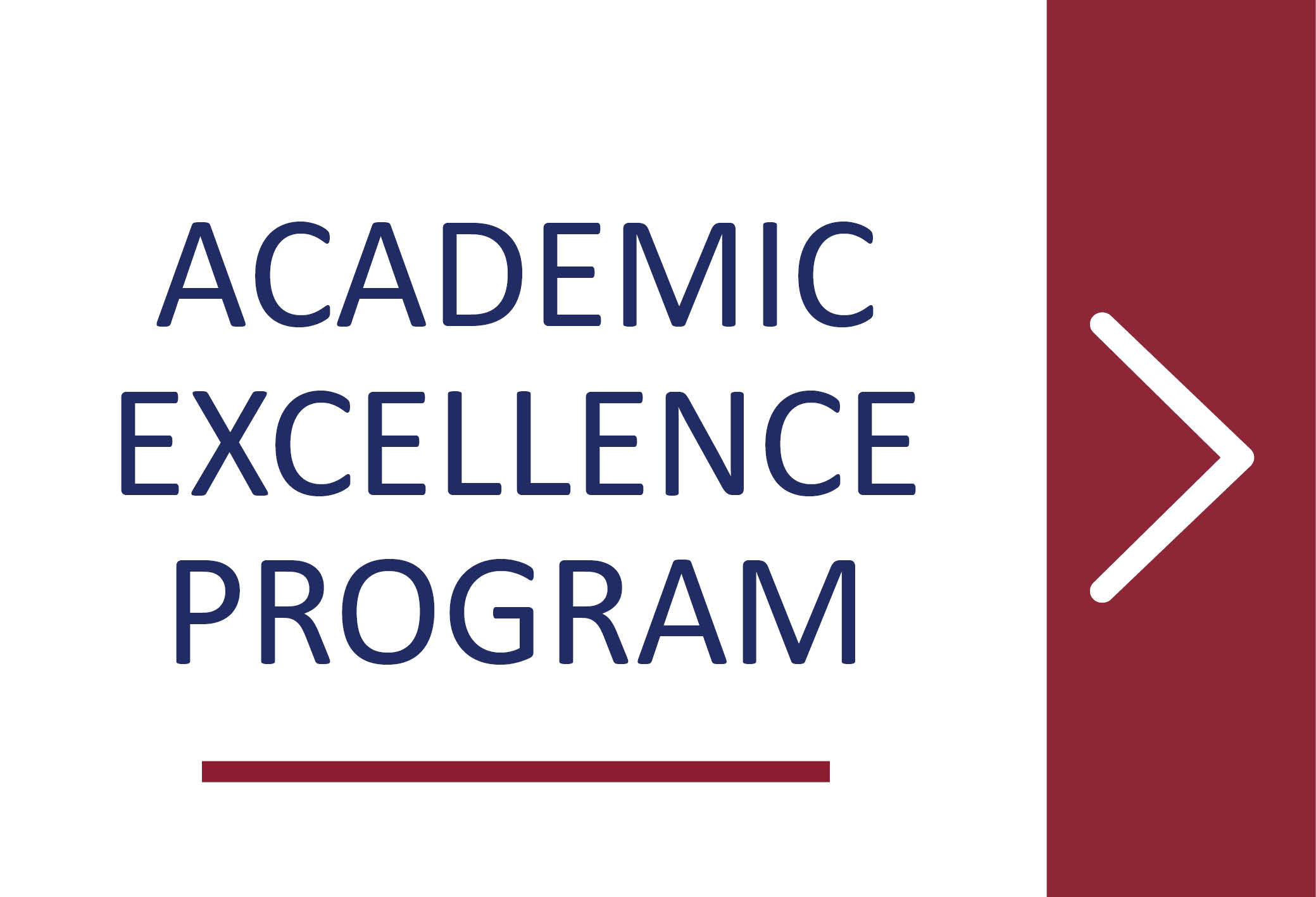 year-10-academic-excellence-program